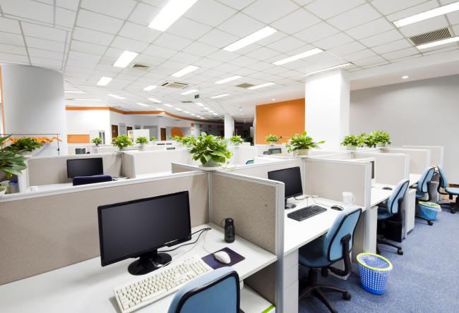 office2.jpg